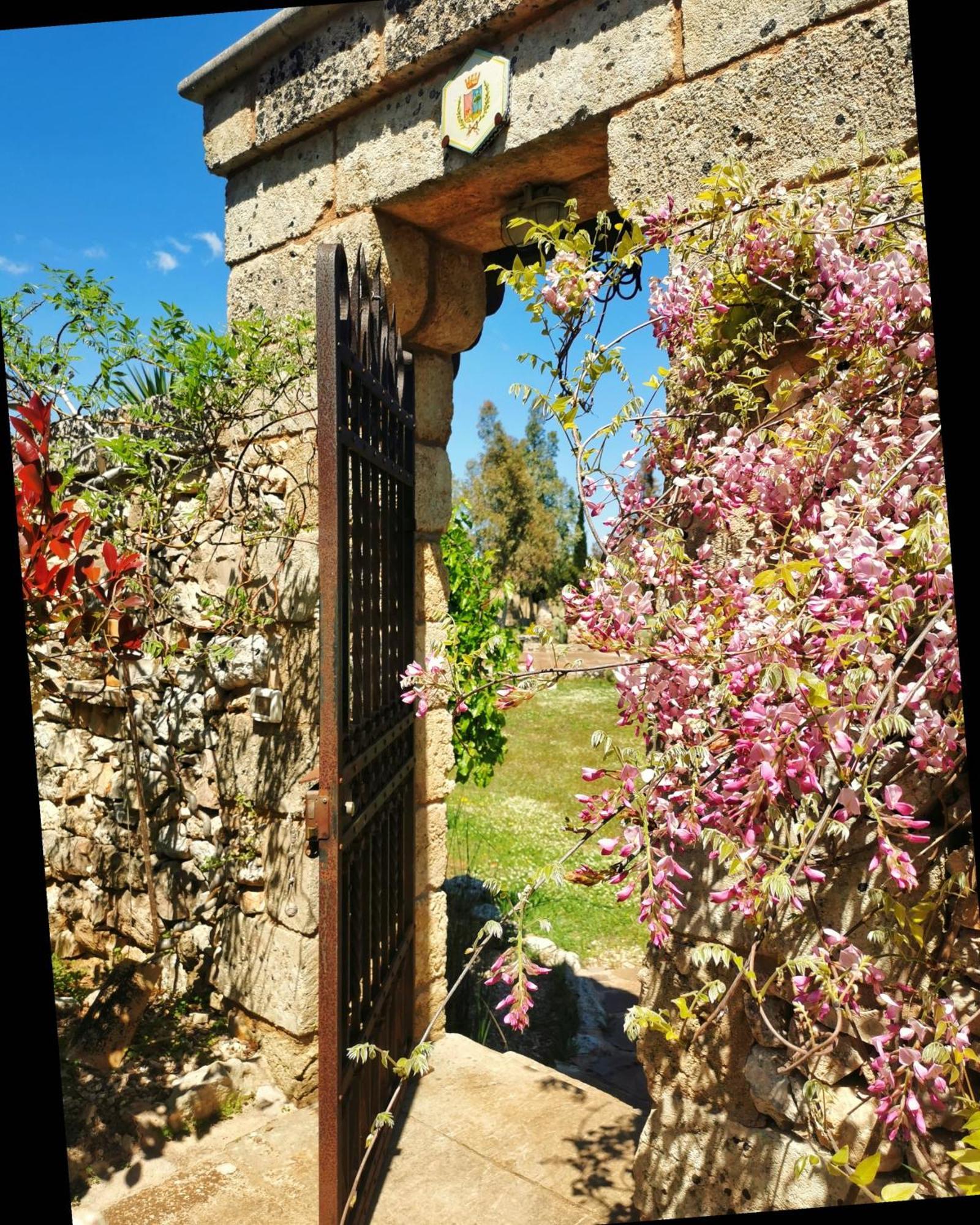 Masseria Borgo Del Gallo Tricase Bagian luar foto