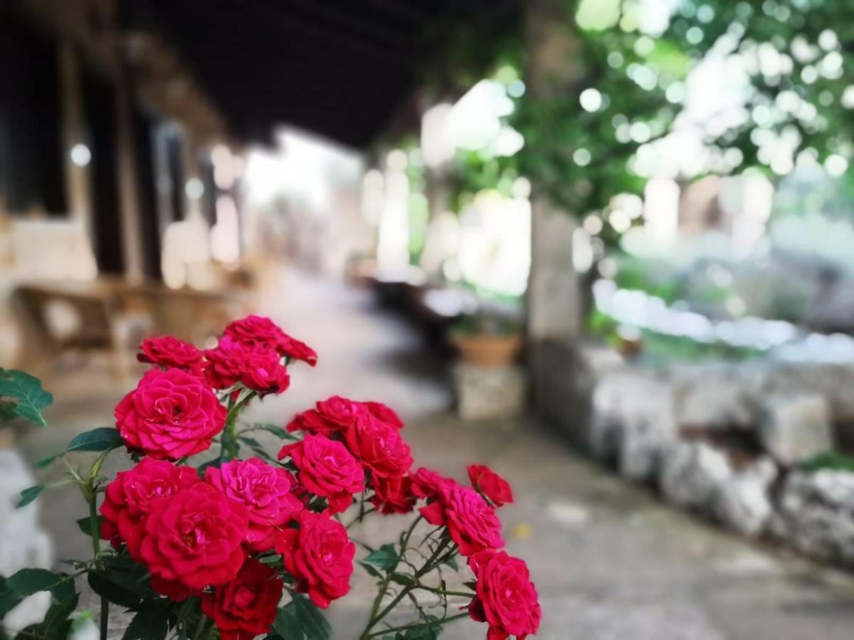 Masseria Borgo Del Gallo Tricase Bagian luar foto